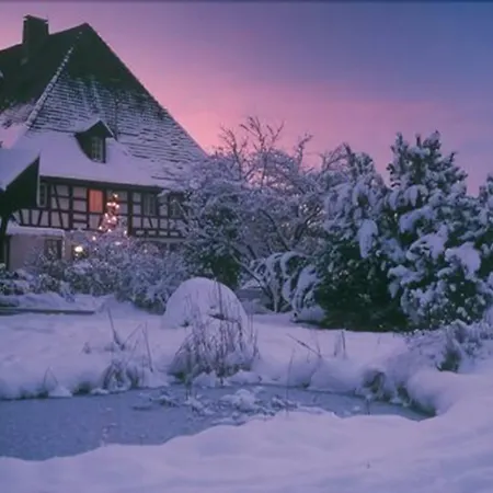 酒店 祖姆克鲁兹兰迪迪2酒店 3*